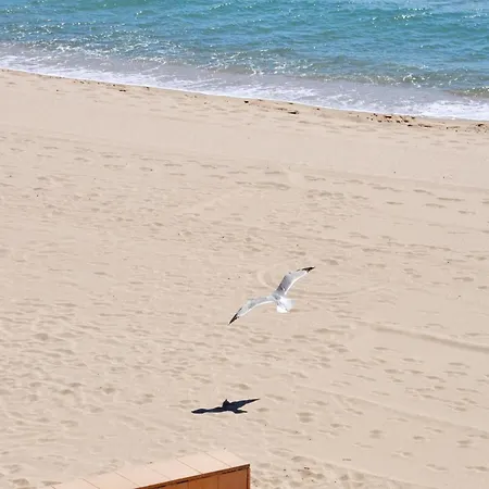 In Near Santa Margarita
