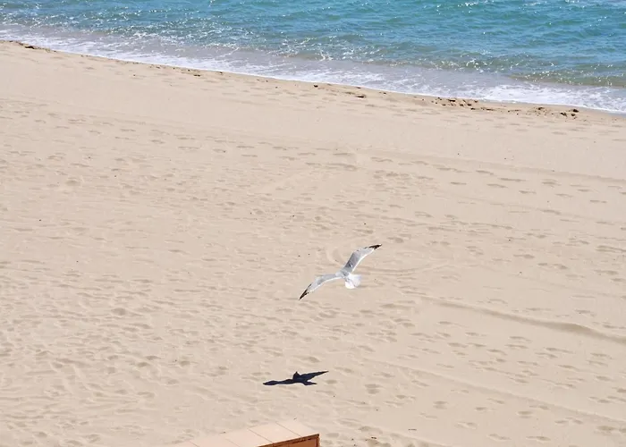 In Near Santa Margarita